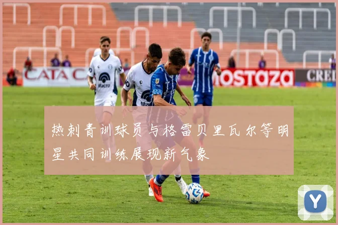 热刺青训球员与格雷贝里瓦尔等明星共同训练展现新气象