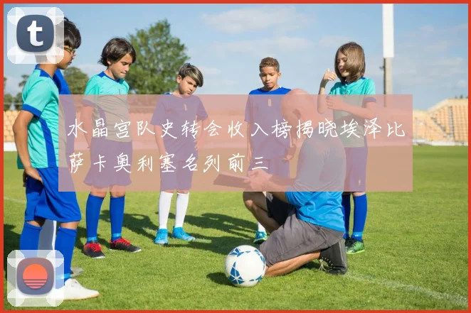 水晶宫队史转会收入榜揭晓埃泽比萨卡奥利塞名列前三